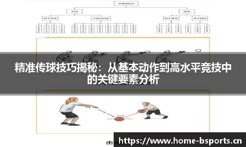 b体育官网