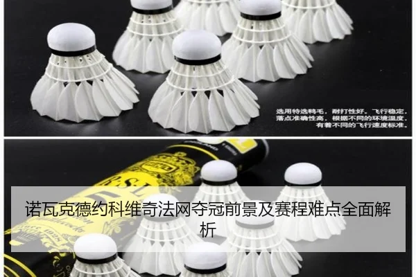 诺瓦克德约科维奇法网夺冠前景及赛程难点全面解析